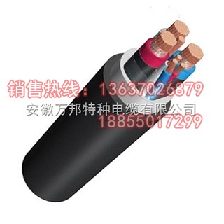 FF FFR FGR FV額定電壓0.6/1kV氟塑料絕緣耐高溫電力電纜